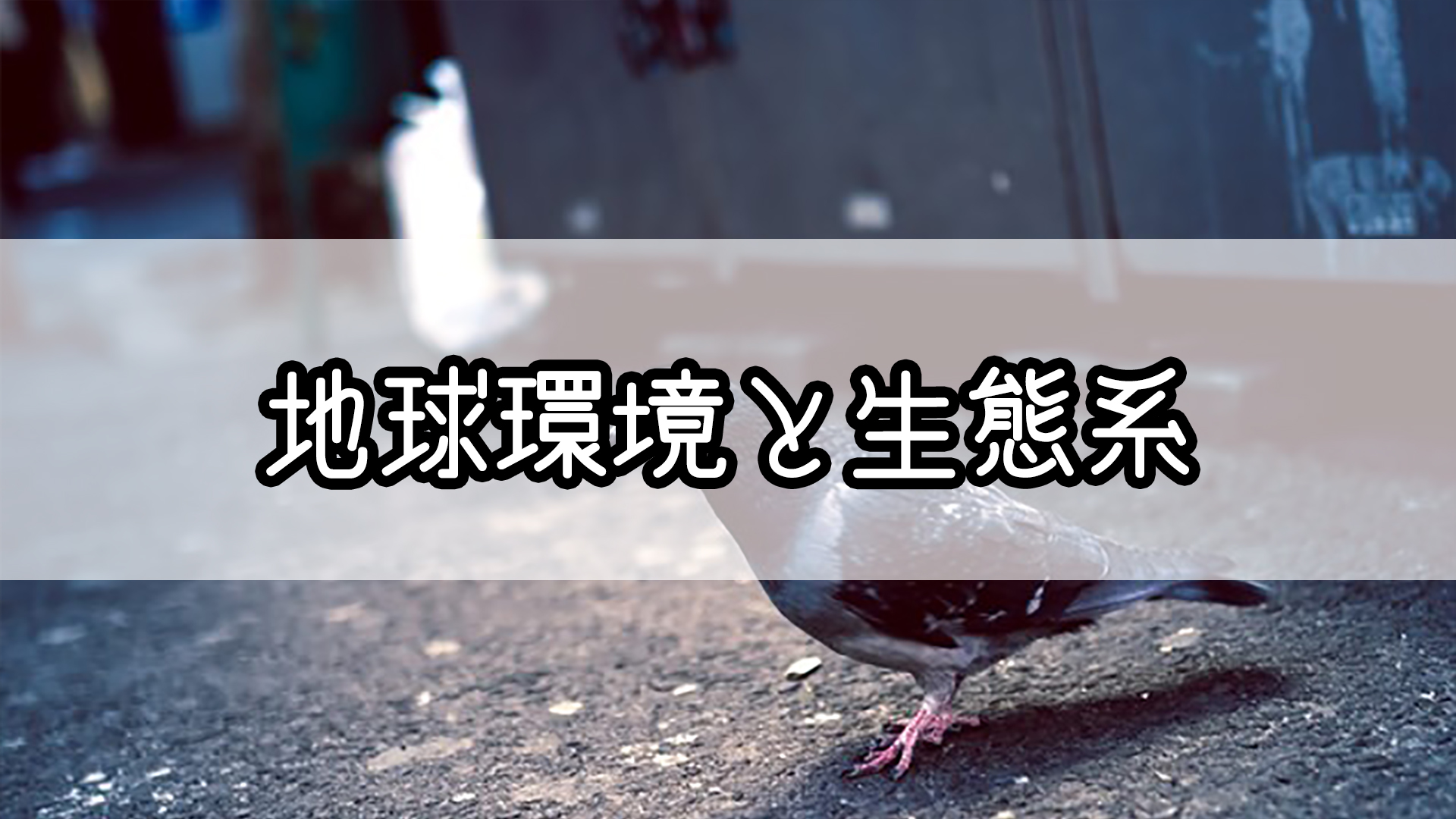 地球環境と生態系 のゴロ 覚え方 Gorori ゴロ理