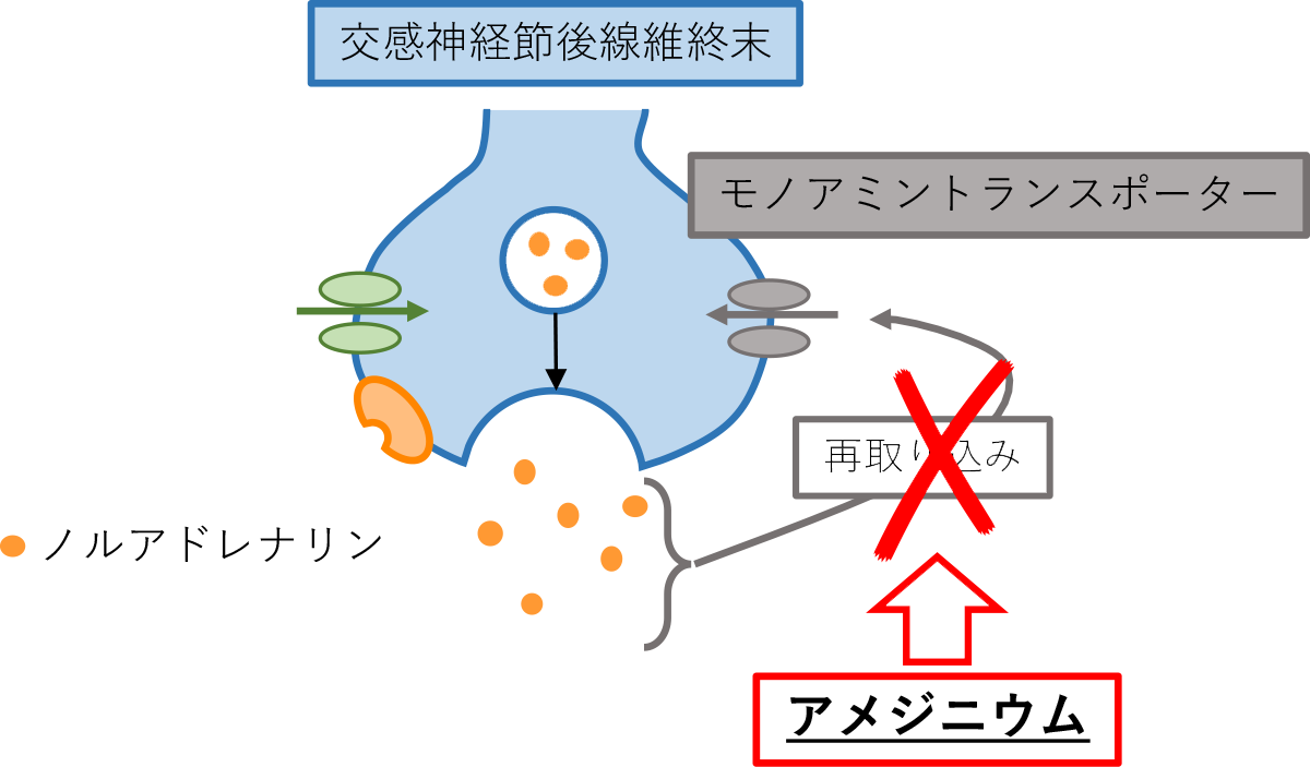 その他のアドレナリン作動薬 のゴロ 覚え方 Gorori ゴロ理