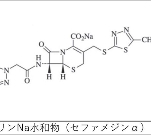 セファメジンα（セファゾリンNa）の特徴・作用機序