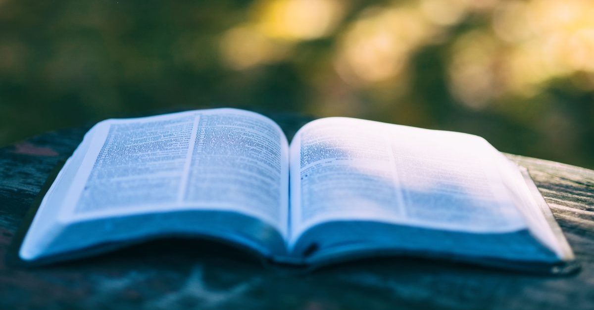 パドセブ点滴静注(エンホルツマブ ベドチン)の特徴・作用機序 おくすり情報